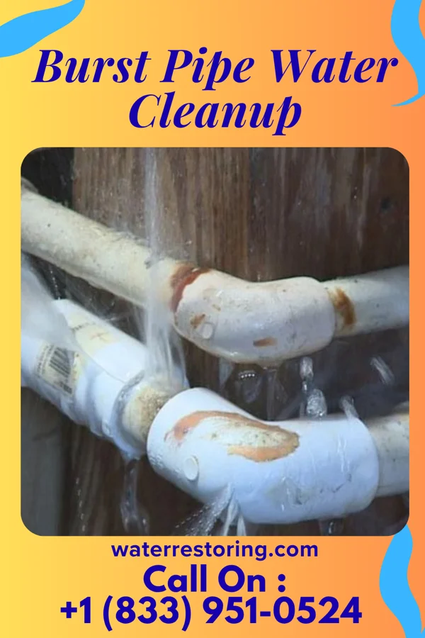 Burst Pipe Water Cleanup in Williamstown, PA