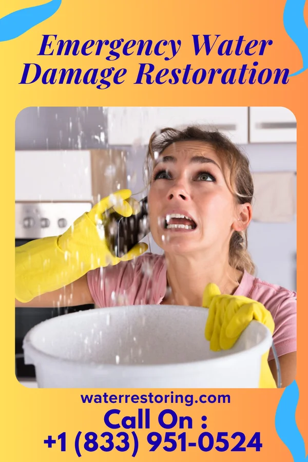 Emergency Water Damage Restoration in Williamstown, PA