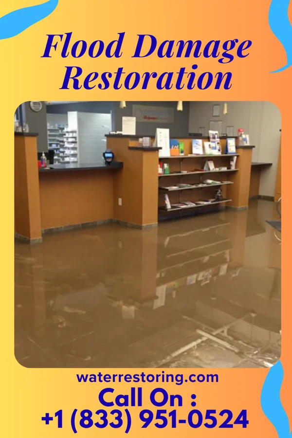 Flood Damage Restoration in Williamstown, PA