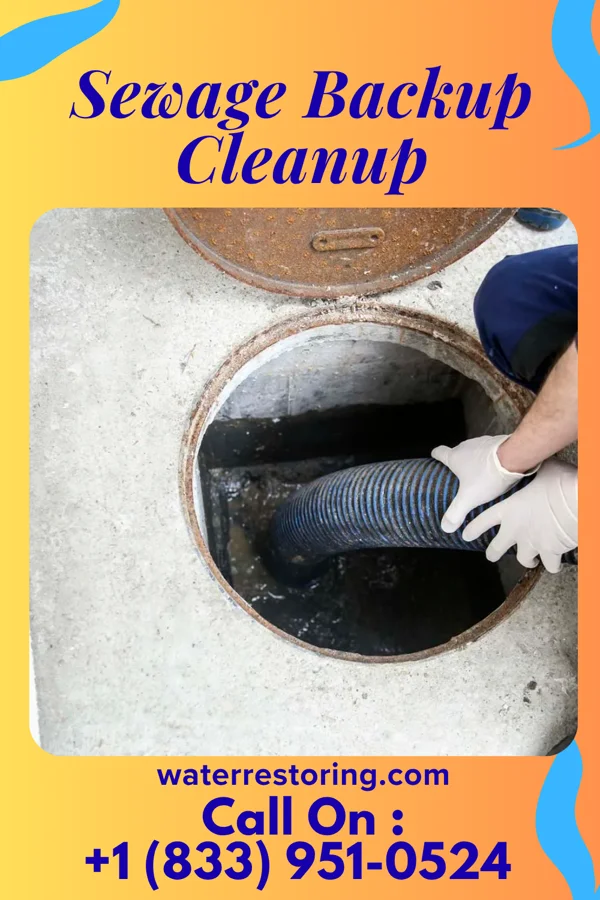 Sewage Backup Cleanup in Williamstown, PA
