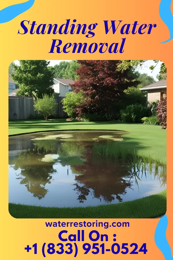 Standing Water Removal in Williamstown, PA